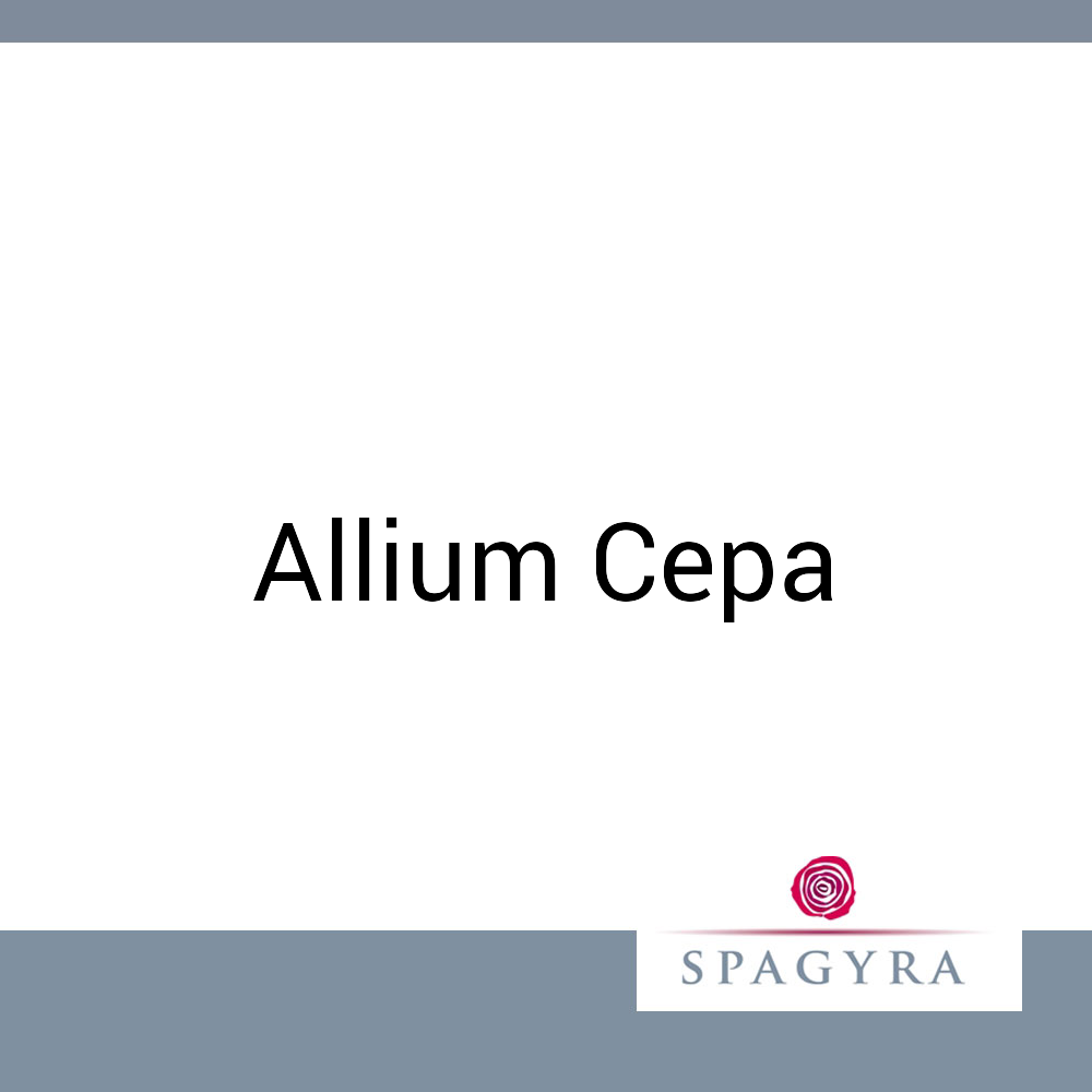Allium Cepa Spagyra 10 ml D 200 Globuli