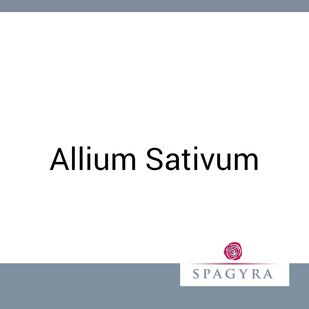 Allium Sativum Spagyra Urtinktur 50 ml