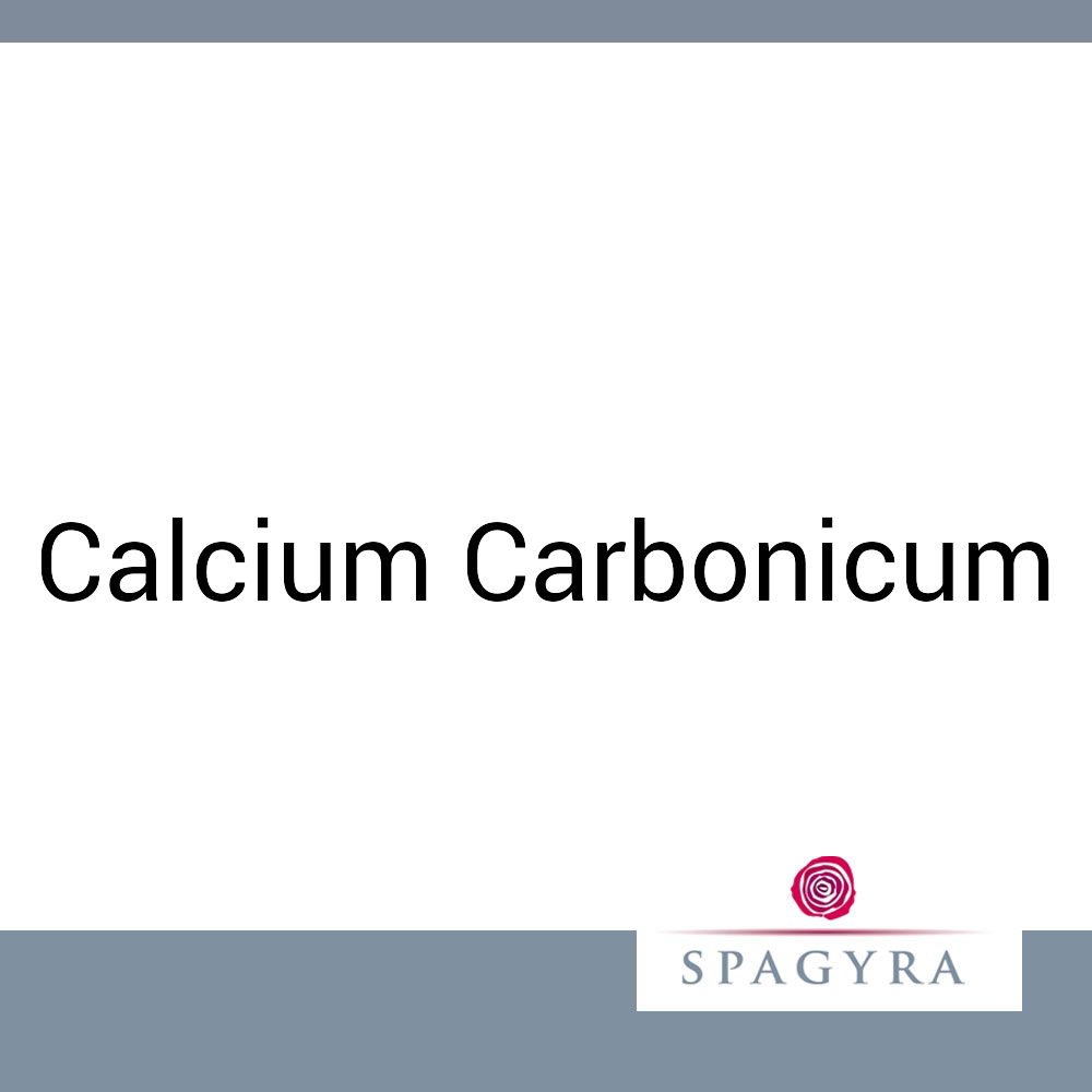 Calcium Carbonicum Spagyra 10 ml XMK  Globuli