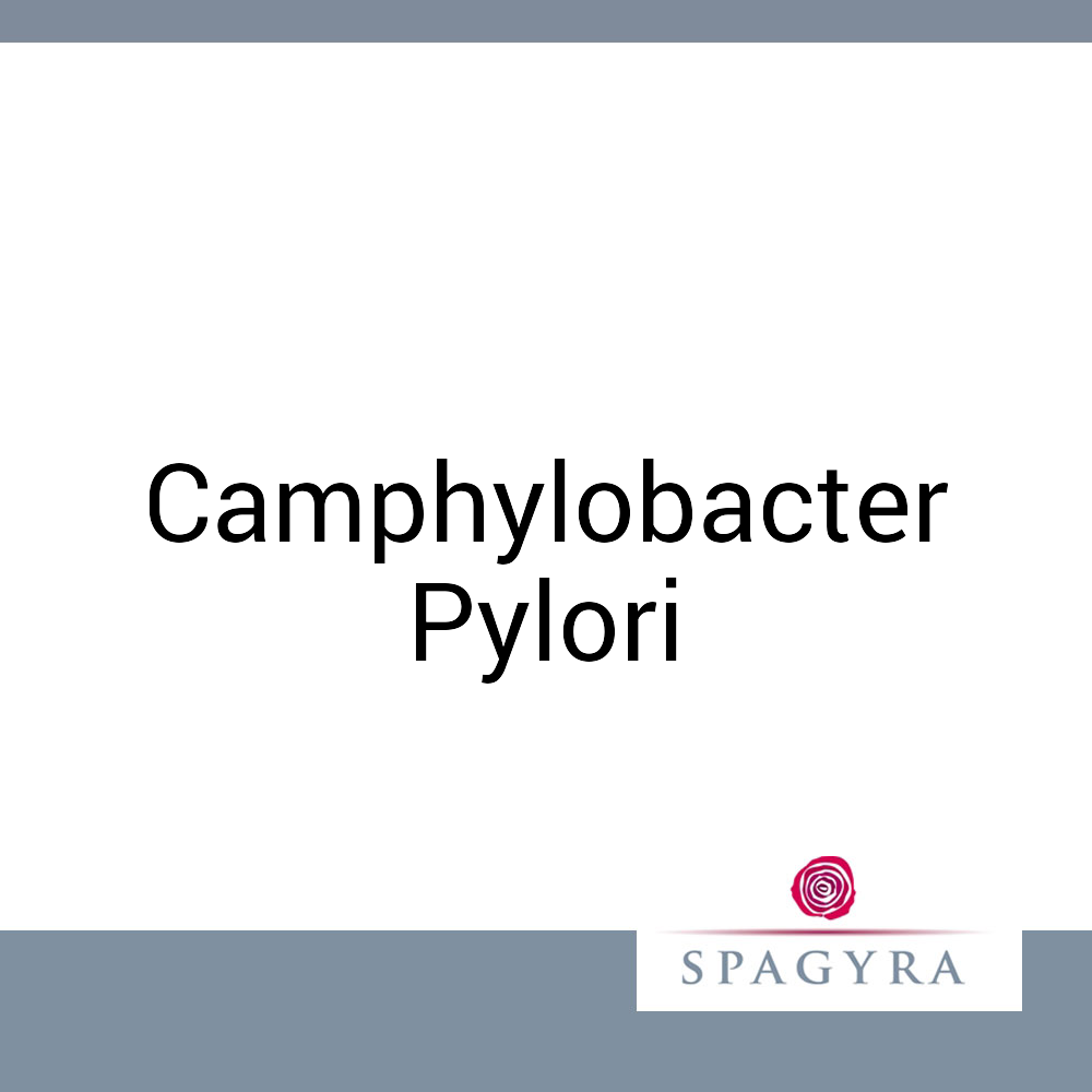 Camphylobacter Pylori Spagyra D 200 Globuli 10 ml