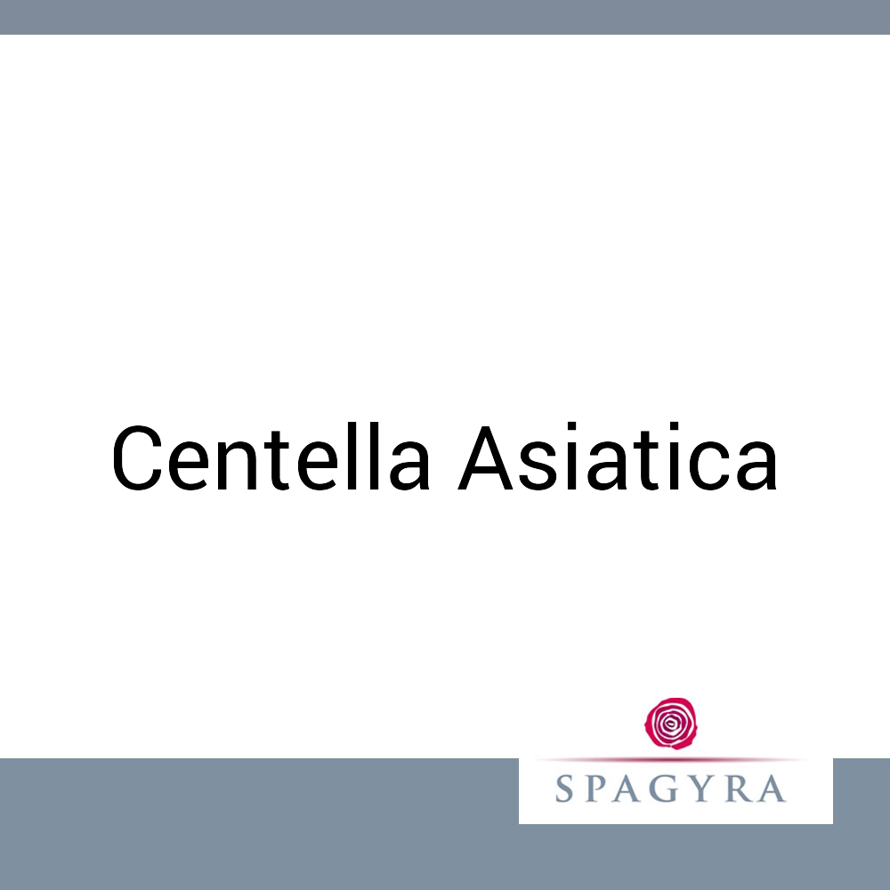 Centella Asiatica Spagyra 10 ml D 4 Globuli