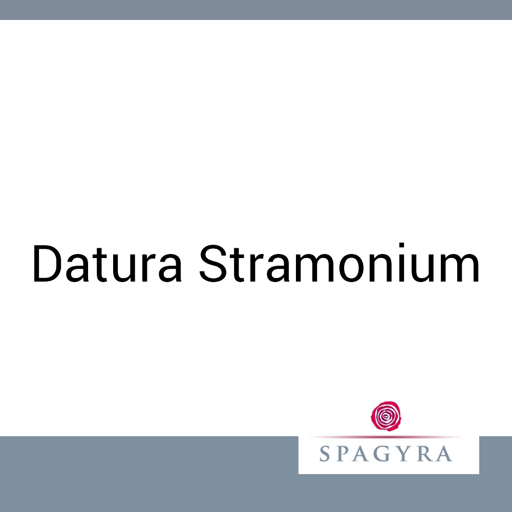 Datura Stramonium Spagyra 50 ml LM 30 Globuli