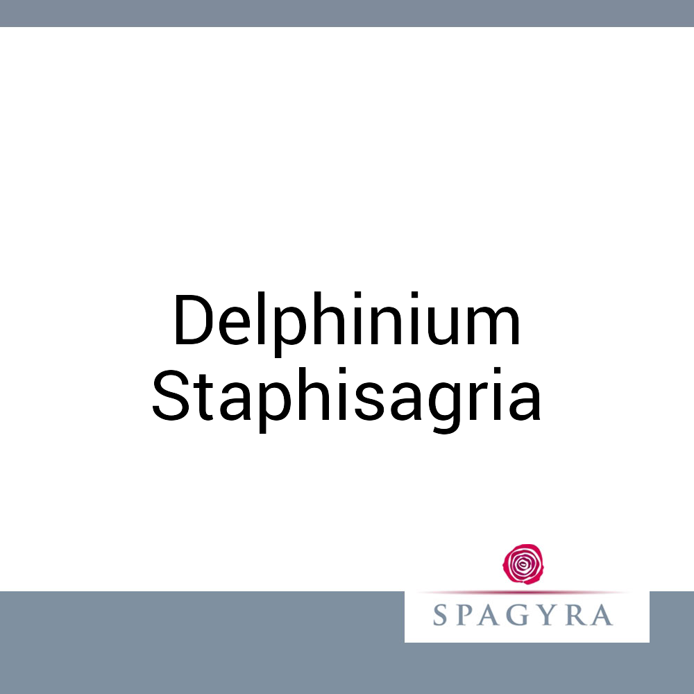 Delphinium Staphisagria Spagyra 20 ml Q 20 Dilution