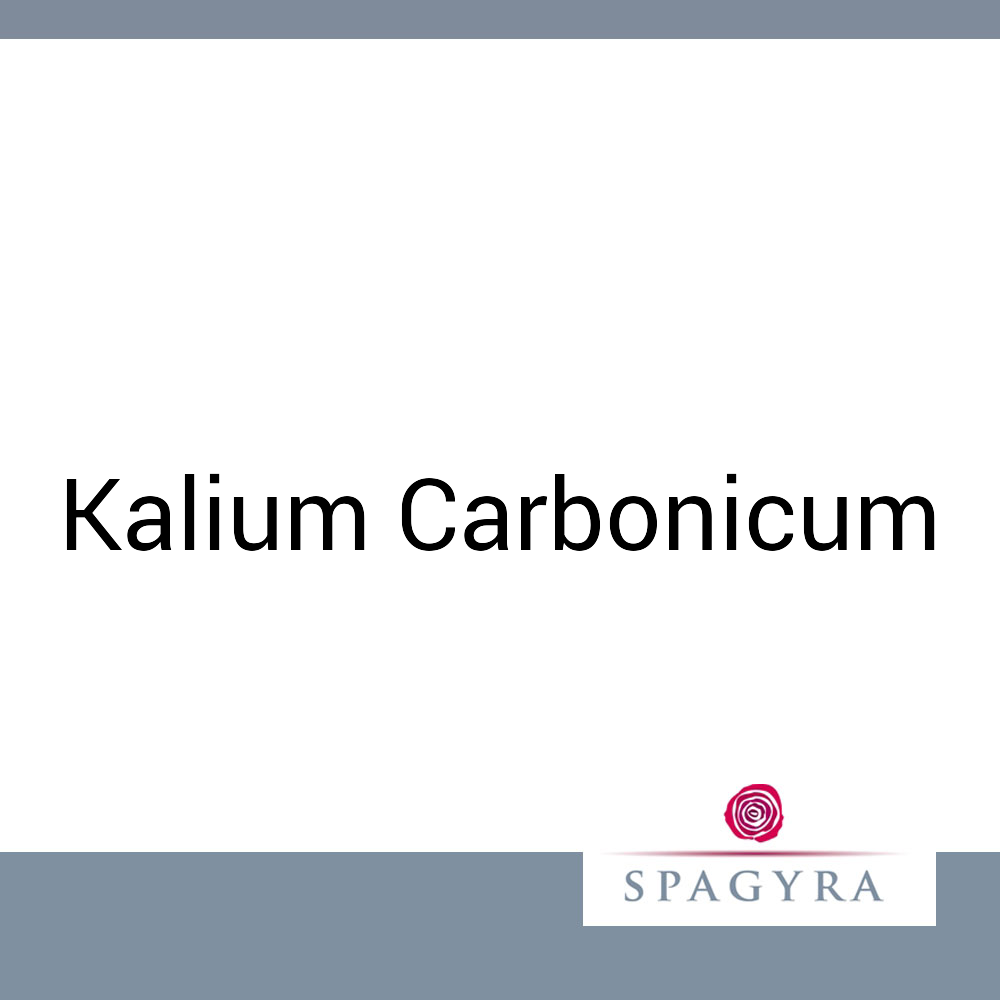 Kalium Carbonicum Spagyra 10 ml LM 16 Globuli