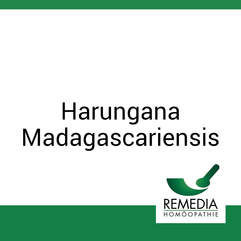 Harungana Madagascariensis Remedia D 6 Globuli 10 g