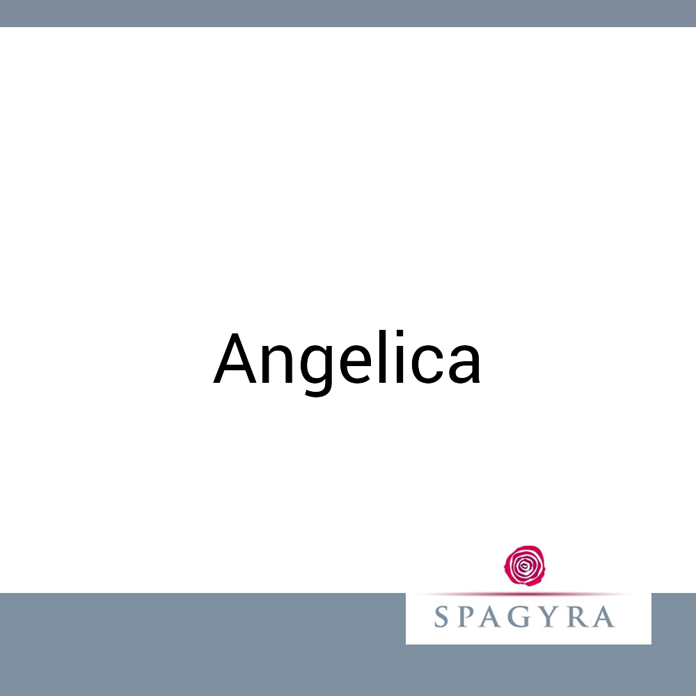 Angelica Spagyra 10 ml