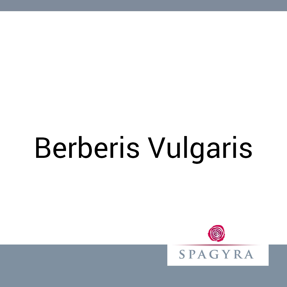 Berberis Vulgaris Spagyra 10 ml C 6 Globuli