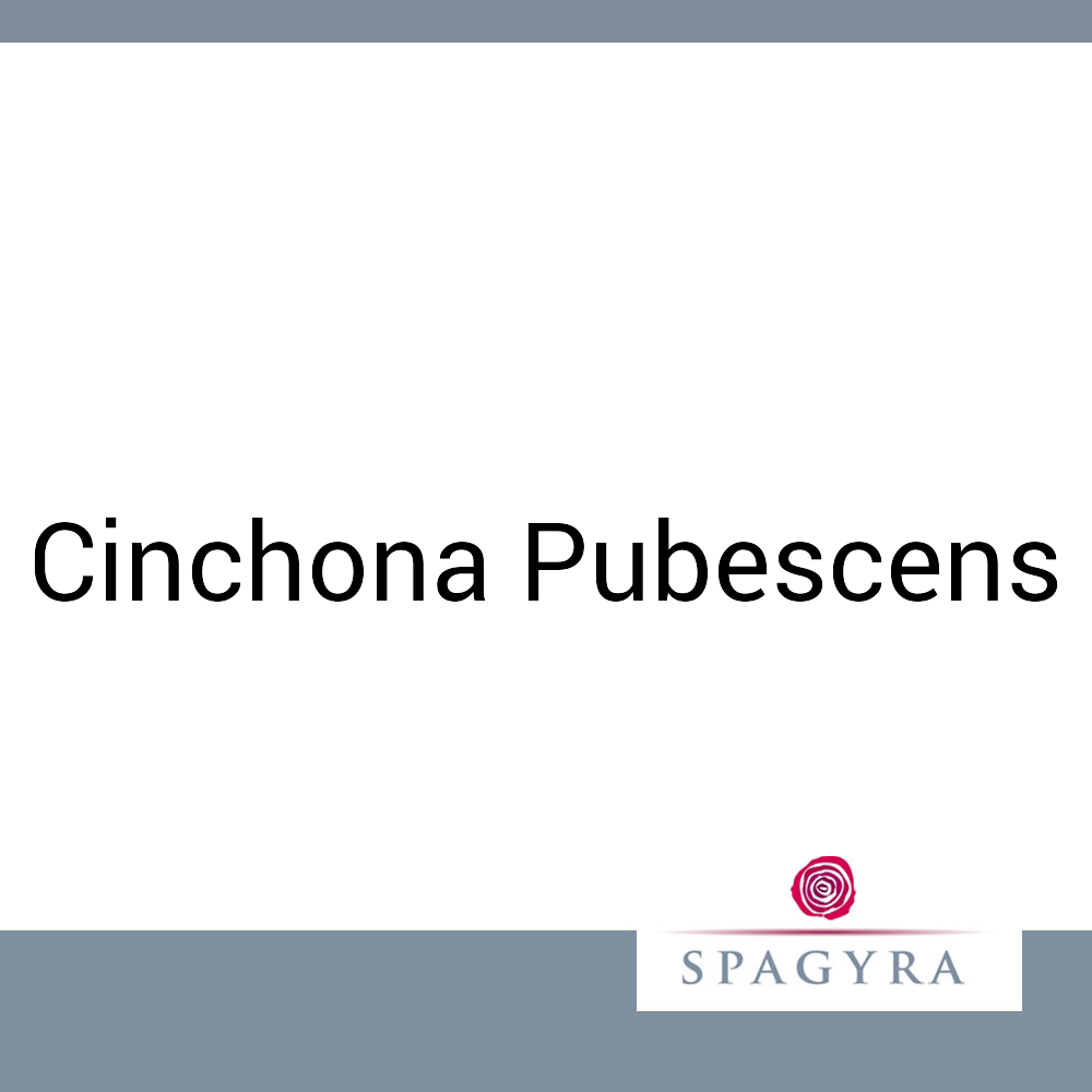 Cinchona Pubescens Spagyra 10 ml D 30 Globuli
