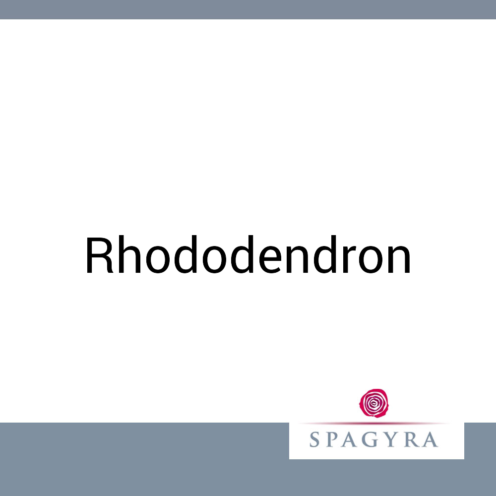 Rhododendron Spagyra 50 ml D 2 Salbe