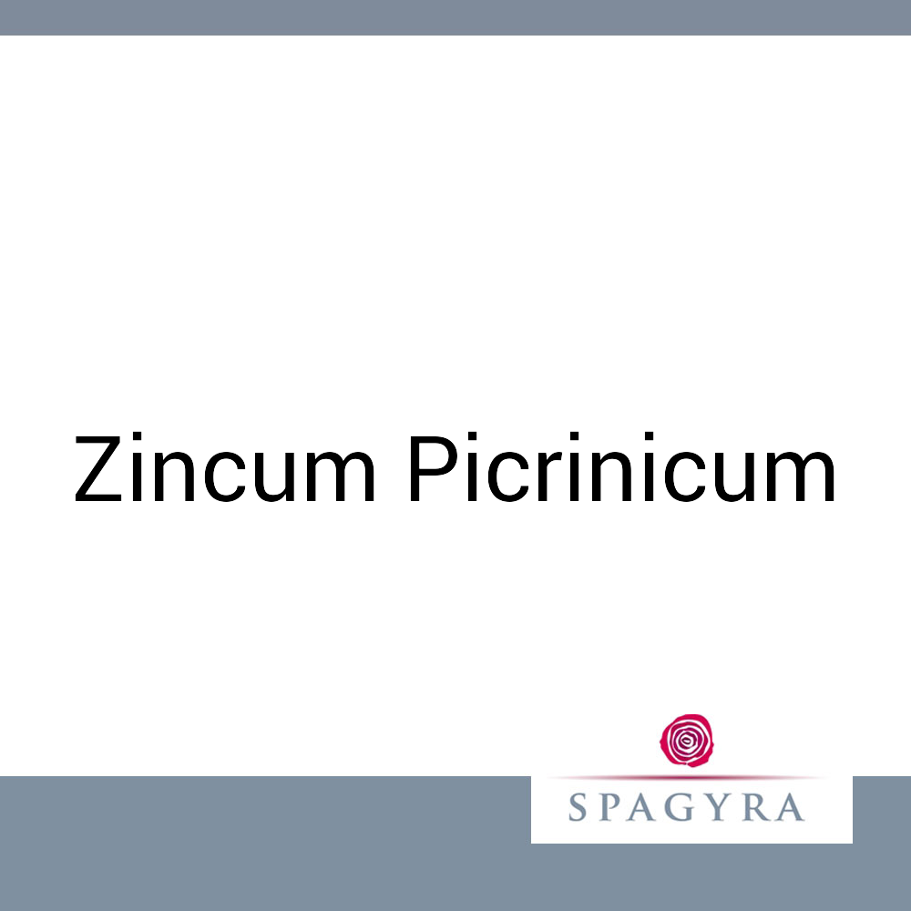 Zincum Picrinicum Spagyra D 12 Globuli 10 ml D 12